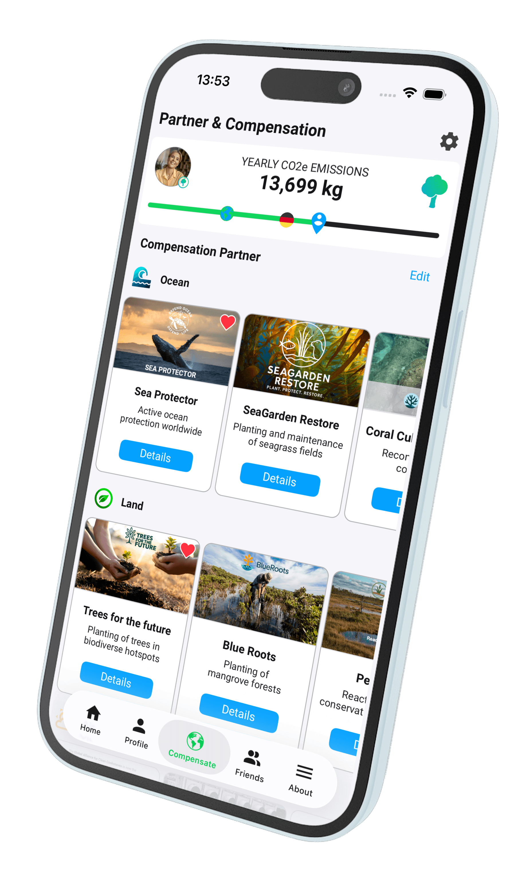 Choose offsetting partners